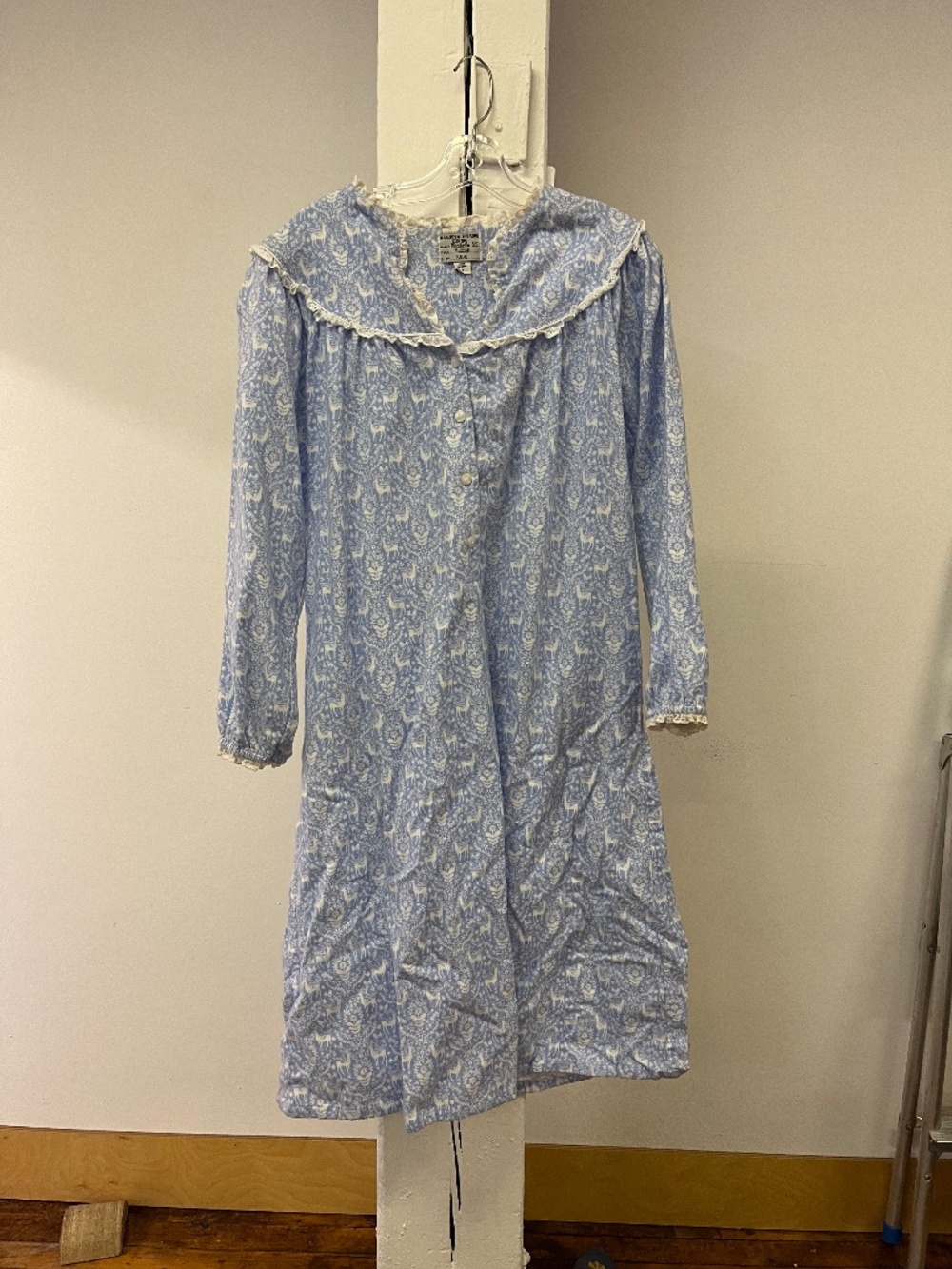 Blue Nightgown
